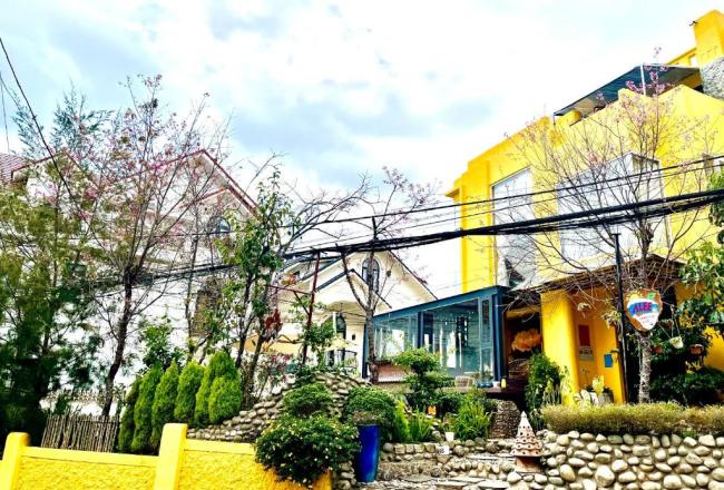 Alee DaLat Homestay 